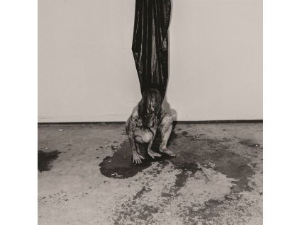 Hide - Interior Terror (LP)