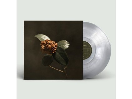 St. Paul & The Broken Bones - Young Sick Camellia (Limited Edition) (Clear Vinyl) (LP)