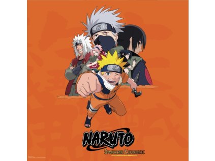 SYLVAIN AUDINOVSKI - Naruto Symphonic Experience (Red Vinyl) (LP)