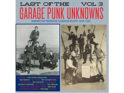 Last Of The Garage Punk Unknowns Vol.3 (LP)