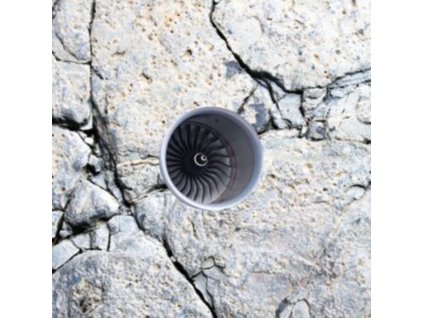 BABYXXAN - In-Tran-Situ (LP)