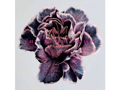 The Slow Show - Still Life (Limited Edition) (White Vinyl) (LP)