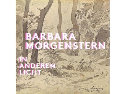 Barbara Morgenstern - In anderem Licht (LP)