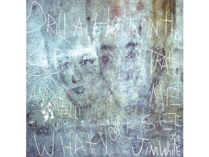 Jim White - Drill A Hole In That Substrate And Tell Me What You See (LP)