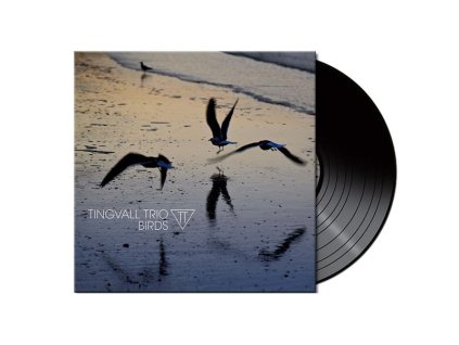 Tingvall Trio - Birds (180g) (Black Vinyl) (LP)