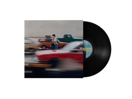 Maribou State - Hallucinating Love (LP)