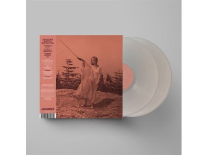 Unknown Mortal Orchestra - II (10th Anniversary) (Limited Edition) (Aluminum Vinyl) (LP)