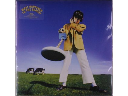 Declan McKenna - What Happened To The Beach? (Cow Print Vinyl) (LP)