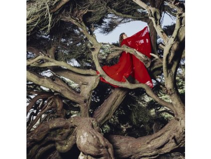 Hannah Frances - Nested In Tangles (Crimson Vinyl) (LP)