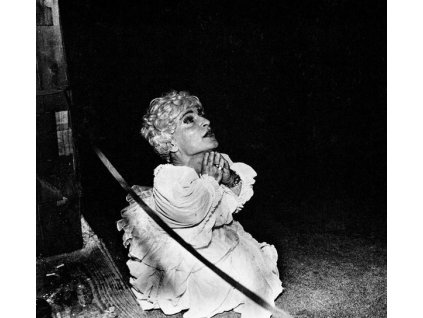 Deerhunter - Halcyon Digest (LP)