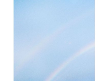 Turnstile - Never Enough (LP)