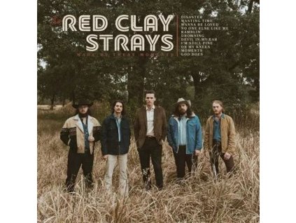 The Red Clay Strays - Made By These Moments (LP)