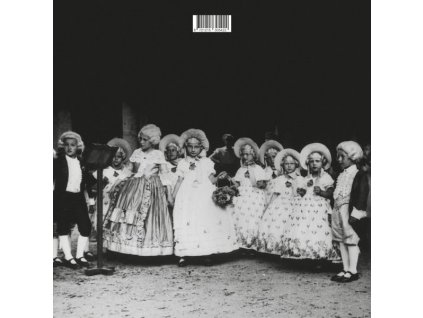 Julia Effekt - Nachtparkett (LP)