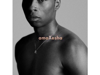 Bongeziwe Mabandla - AmaXesha (LP)