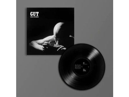 4204355 daniel blumberg gut lp
