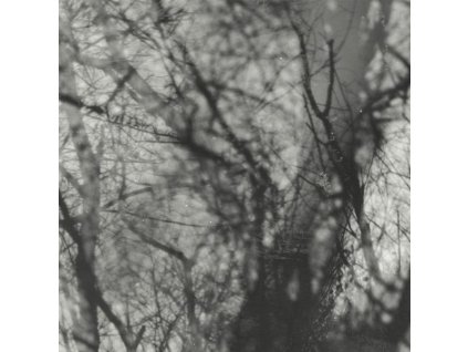 Grouper - Way Their Crept (LP)