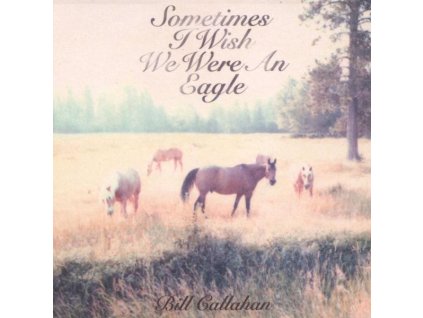 Bill Callahan - Sometimes I Wish We Were An Eagle (LP)