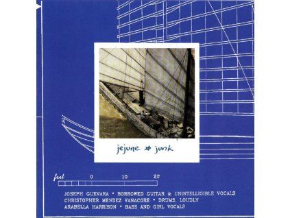 4207253 jejune junk lp