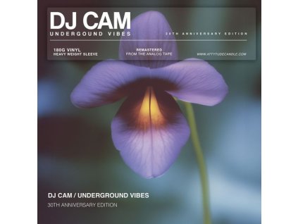 DJ Cam - Underground Vibes (30th Anniversary) (remastered) (180g) (Limited Numbered Edition) (LP)