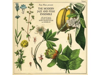Sean Khan - Sean Khan Presents The Modern Jazz & Folk Ensemble (LP)