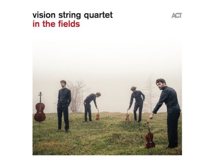 vision string quartet - In The Fields (180g ) (LP)