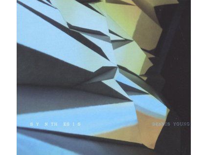 4210655 dennis young synthesis lp