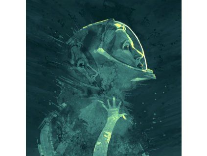 4210883 bobby krlic returnal lp