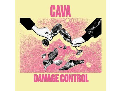 4210988 cava damage control lp