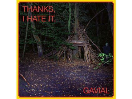 4211483 gavial thanks i hate it lp
