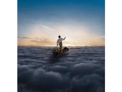 4216625 pink floyd endless river lp
