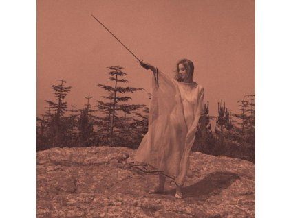 4217018 unknown mortal orchestra ii lp