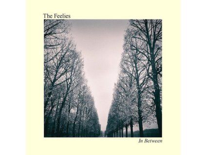 4217144 the feelies in between lp