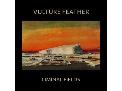 4217231 vulture feather liminal fields limited edition bone vinyl lp