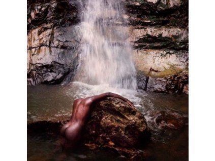 4217456 moses sumney gr lp
