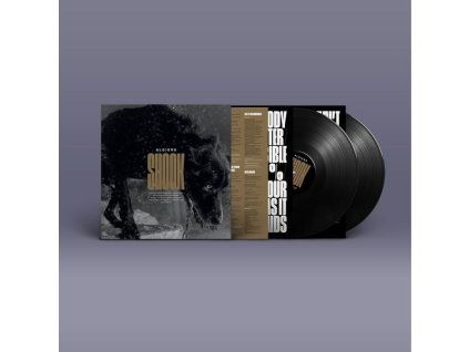 4218167 algiers shook lp