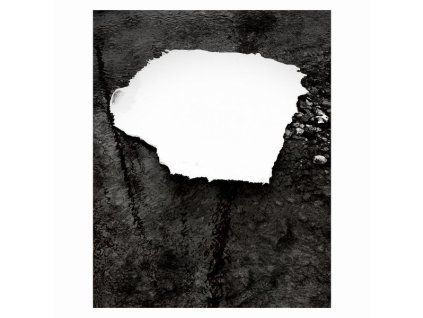 4218305 zelienople everything is simple lp