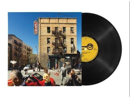 4219907 djo the crux lp