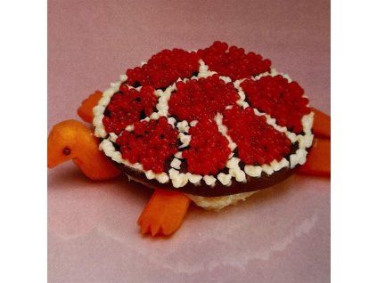 4222469 sharp pins turtle rock lp