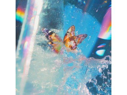 4223959 daphni butterfly lp