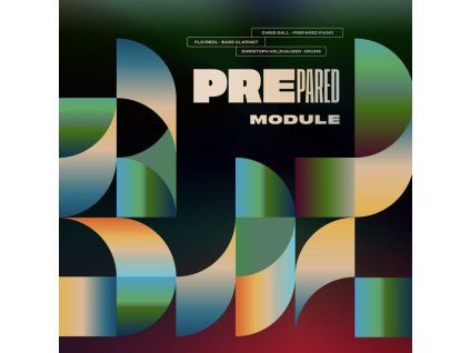 4224001 prepared module lp