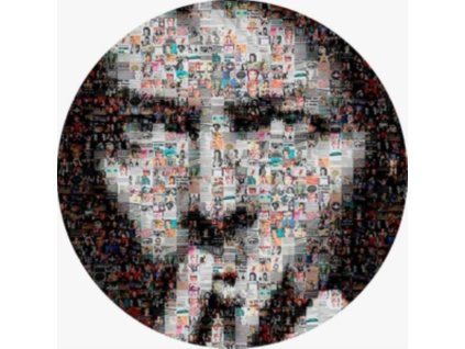 4224307 david bowie covers picture disc lp