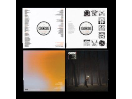 4229476 geese projector lp