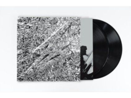 4229587 say she she silver lp