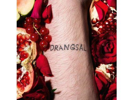 4230328 drangsal harieschaim lp