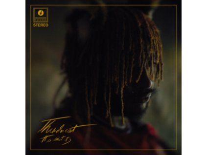 4231918 thundercat it is what it is lp