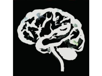 4232137 ruins brain flakes lp