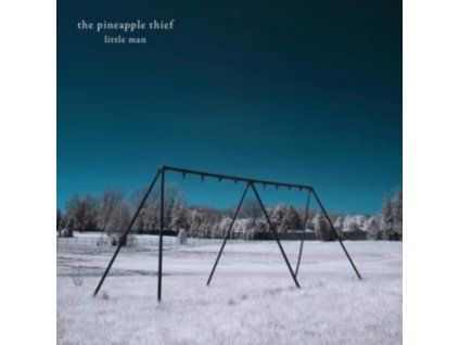 4234601 pineapple thief little man lp