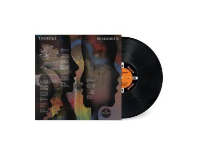 4237793 irreversible entanglements future present past lp