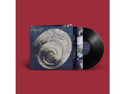 4238267 snail mail ricochet lp