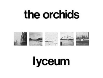 4238900 orchids lyceum lp